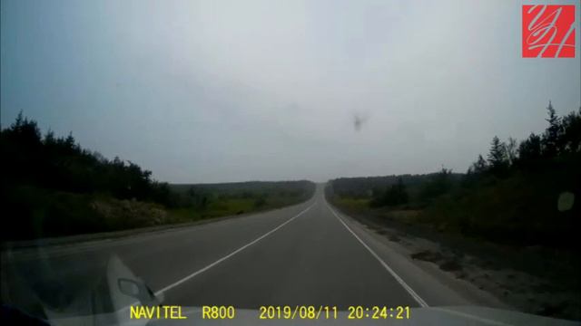 11.08.2019 — Медведь перед Шахтёрском смотреть онлайн