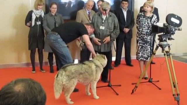 Открытие выставки CPS 2010