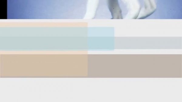 Beautiful photos of Manx cat breeds