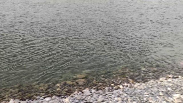 Лазаревское 3 июня вечер смотреть онлайн