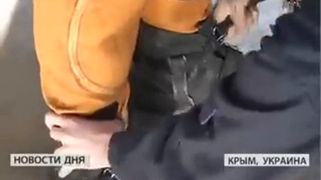 На Черном море проходят плановые учения водолазов смотреть онлайн