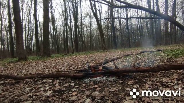 Почему до сих пор не наступил конец света для"темных" и конец тьмы для "светлых"??? 12.04.21г. смотреть онлайн