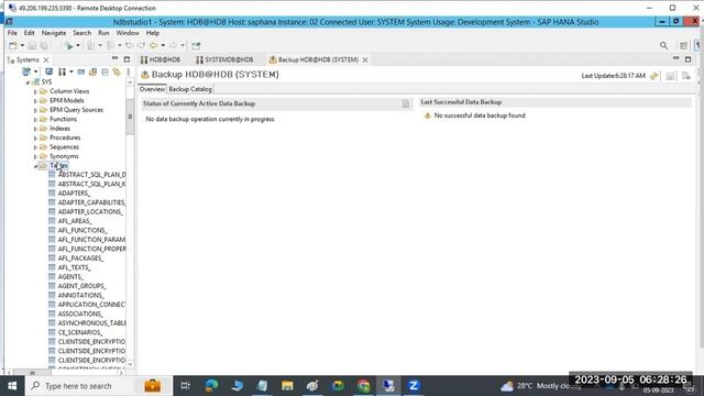 SAP HANA 2.0 - CATALOG,OS LEVEL HANA FILE SYSTEMS смотреть онлайн
