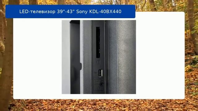 LED-телевизор 39"-43" Sony KDL-40BX440 обзор и отзыв смотреть онлайн