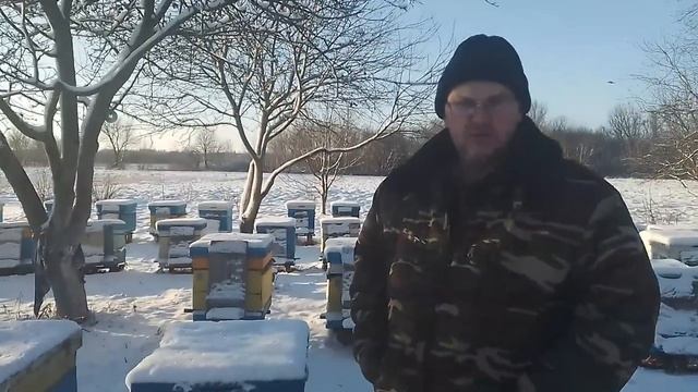 7 января пасека.С РОЖДЕСТВОМ