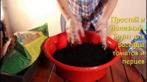 Подходящий грунт для рассады томатов и перцев. Делаем сами