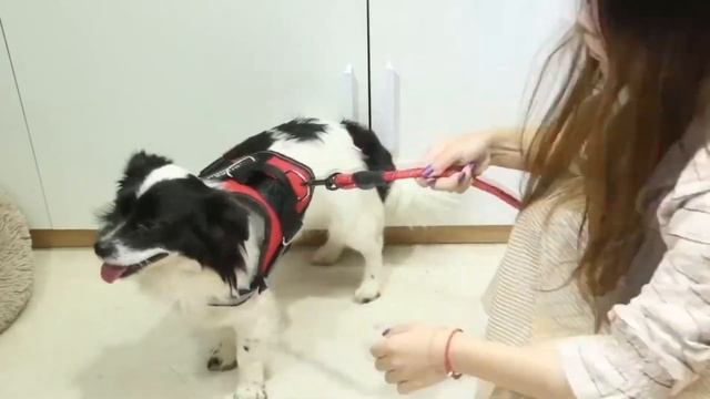 Как управлять домашним хозяйством