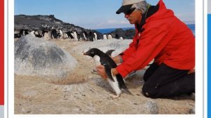 Видеопрезентация Самые необычные профессии