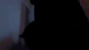 Кошка выпучила глаза.Смотреть всем!!!!:)