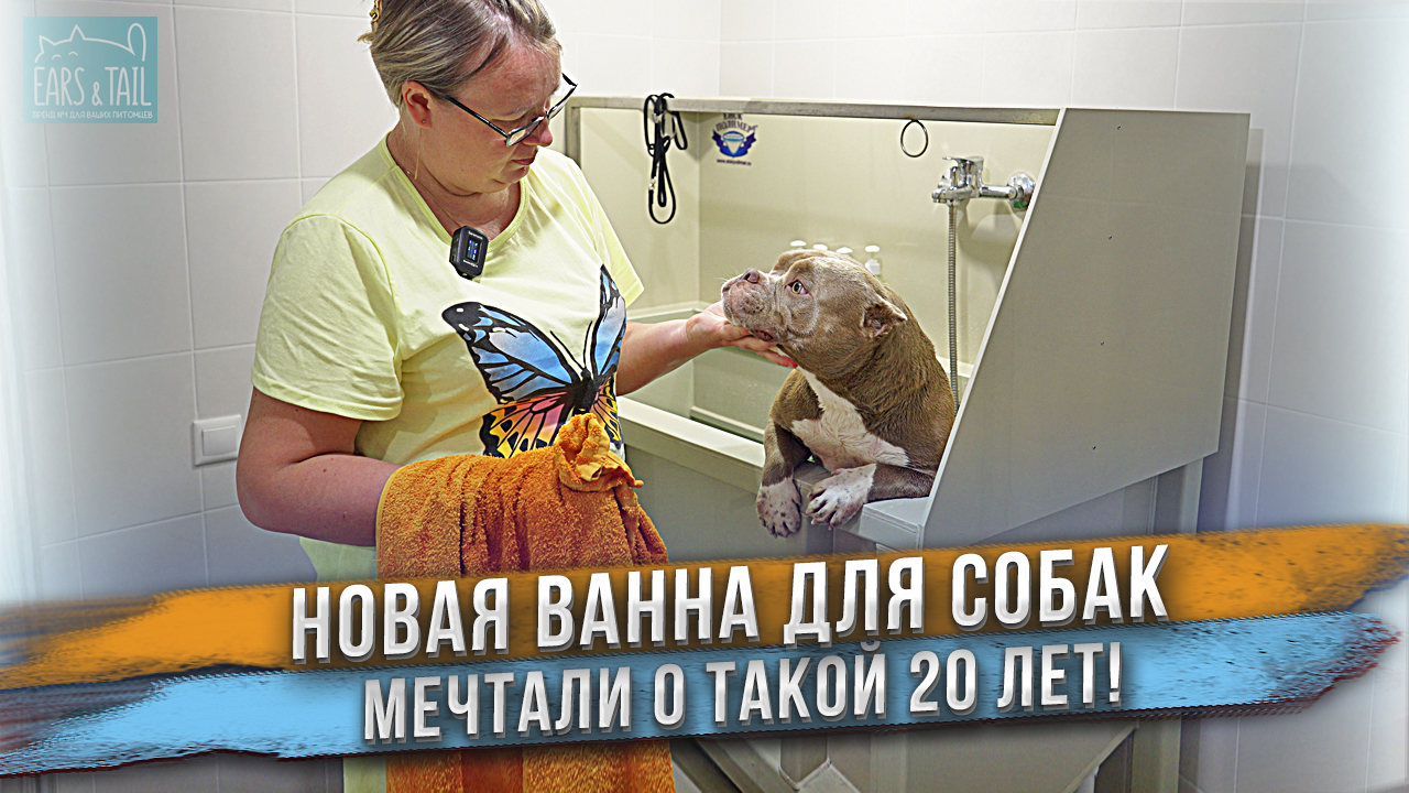 Мойка для собак. Мечта сбылась! Спасибо подписчикам! смотреть онлайн