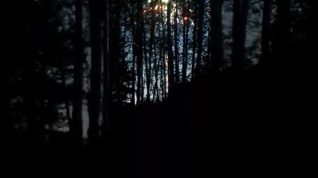 Санкт Петербурге Юкки