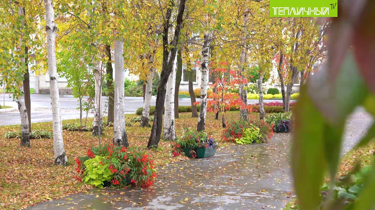 Осеннее разноцветье парка "Тепличного" смотреть онлайн