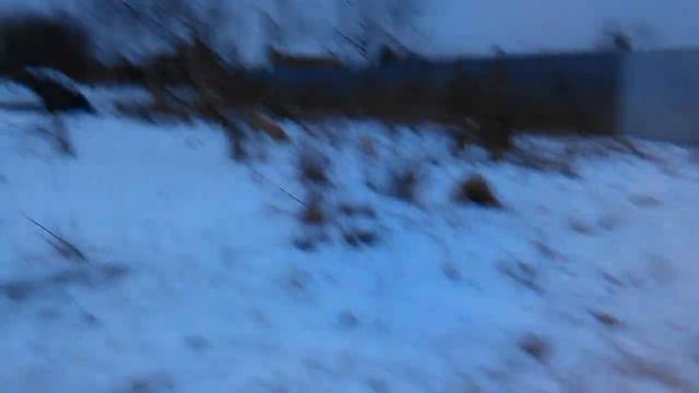 Сейчас Злата загрызёт Лайму смотреть онлайн