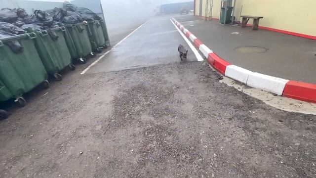 МИХАИЛ требует чтобы я убрал ему МОРЩИНЫ на лице смотреть онлайн