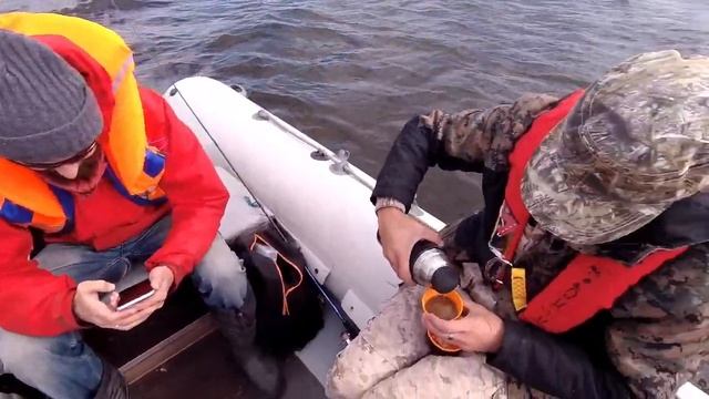 Волга, ловля на джиг, отводной поводок и кастмастеры. Шука на 4 кг, окуни и жерех смотреть онлайн