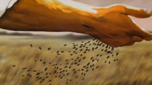 Притча о сеятеле. Притчи Иисуса Христа Новый Завет. Толкование притчи о сеятеле смотреть онлайн