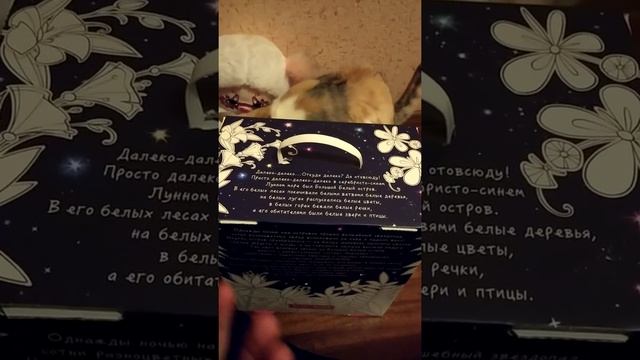 Лорик игрушка юки (белый) обзор loricolori смотреть онлайн