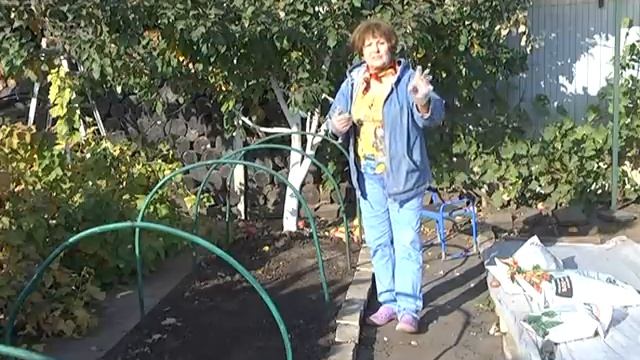 Дачные советы Галины Старосельцевой Октябрь 08-2020 смотреть онлайн