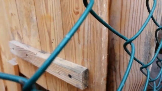 Очень удобный курятник. Вытяжка и вид снаружи смотреть онлайн