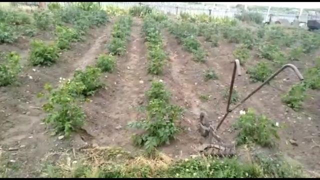 Орудие на пропалыватель смотреть онлайн