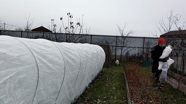 Утепляем Голубику? Малыши-щеночки? Колеусы?️ Зимний стеллаж для рассады и черенков? смотреть онлайн