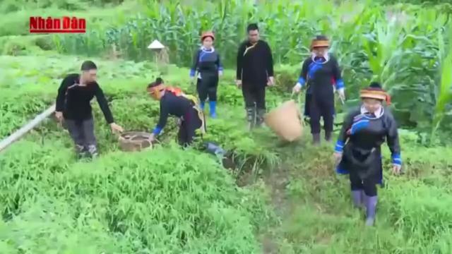 Представители народности Зао и красота их костюмов смотреть онлайн