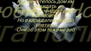 М.Туркменова - Белая лебедь моя.wmv