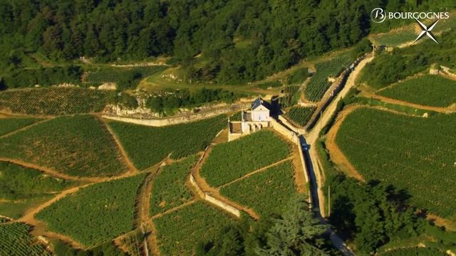 Nuits-Saint-Georges : l’appellation décryptée par Jean-Pierre Renard смотреть онлайн