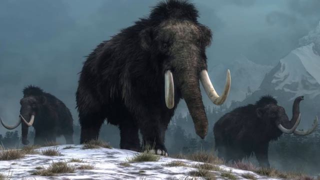 Звуки вымерших животных🍭✨💎 смотреть онлайн