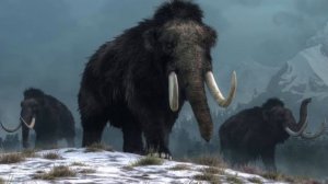 Звуки вымерших животных🍭✨💎