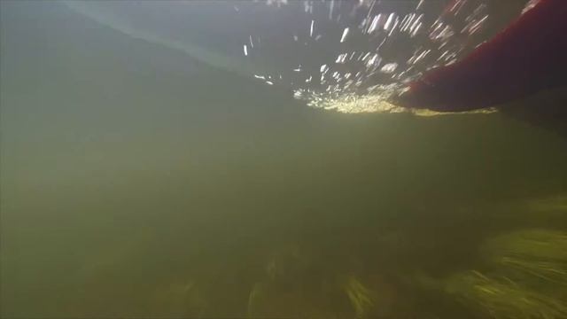 Поход на реку Нота Мурманская область / Water hike on the River Note Murmansk region смотреть онлайн