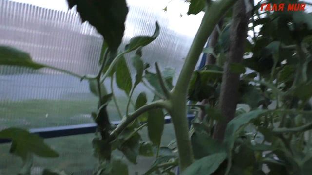Ох уж этот Корнабель смотреть онлайн