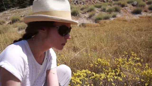 Perfecta Lab. Поход за аромой. Бессмертник. Заповедник Аль-Шуф (Ливан) смотреть онлайн