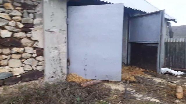 Покупка бычков и их безпривязное содержание . смотреть онлайн