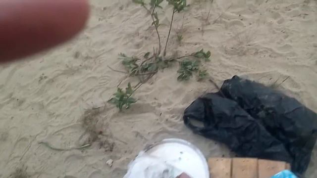 Если нету соли смотреть онлайн