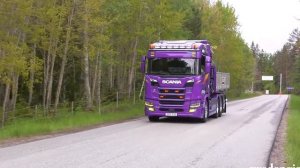 Учим цвета и машинки. Найди машинку нужного цвета