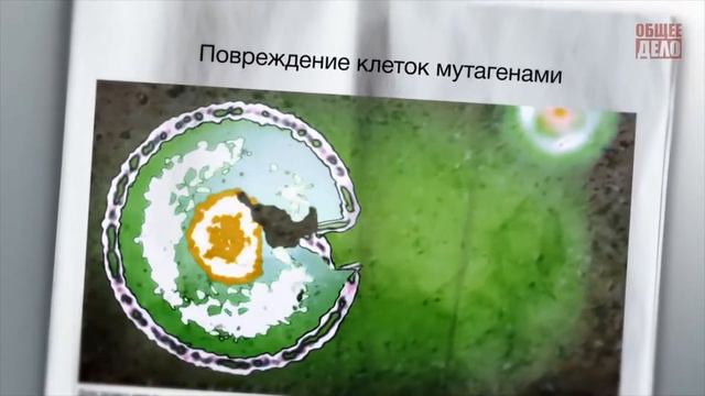 МОУ "Первомайская СОШ №1". Скажем сигарете: "НЕТ!" смотреть онлайн