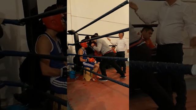 нарек греяани смотреть онлайн