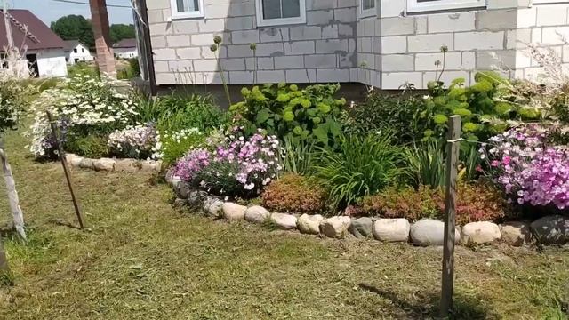 Неприхотливые растения для вашего сада. Малоуходный сад. смотреть онлайн