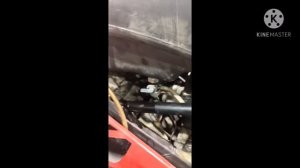 Как настроить карбюратор PZ 30, регулировка карбюратора и подборка жиклеров.