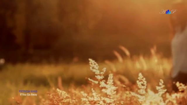 PATRICIA KAAS - If you go away (Ne me quitte pas) смотреть онлайн