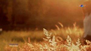 PATRICIA KAAS - If you go away (Ne me quitte pas)