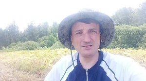 Как правильно уничтожить борщевик сосновского. Результат применения гербицида " Торнадо экстра".