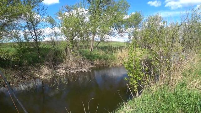 Весенняя ловля Голавля на майского жука.Река Бахмутка. смотреть онлайн
