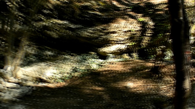 DSC_0898 смотреть онлайн