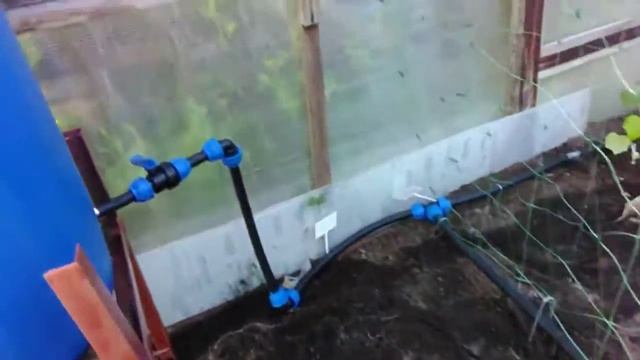 Система полива в теплице из бочки (поставьте лайк, от вас не убудет, а мне приятно) смотреть онлайн