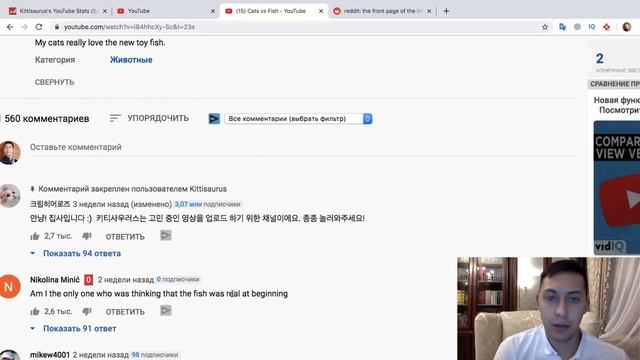 ГОДНАЯ ИДЕЯ ДЛЯ КАНАЛА. Как раскрутить канал на кошечках? Как заработать на Ютубе? смотреть онлайн
