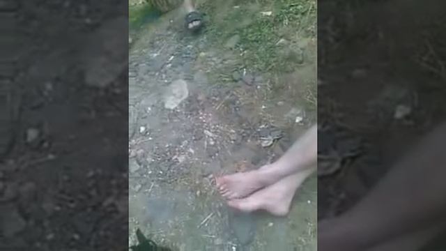 элементы брэйк-данса в глухой тайге смотреть онлайн