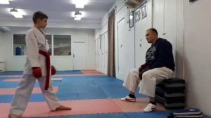 Удары руками в спортивном каратэ. (работа по лапам)