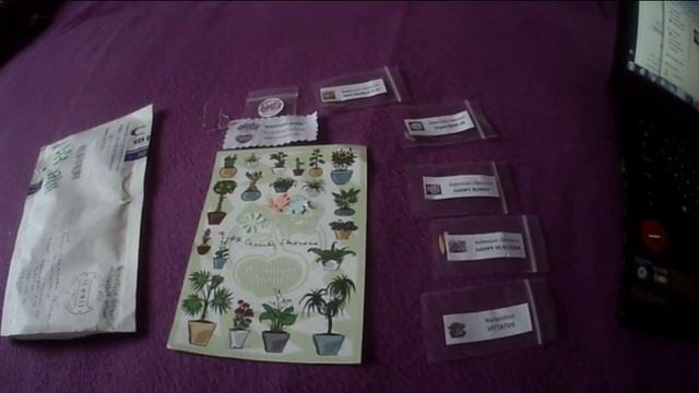 Адениум дома. Обзор посылки. смотреть онлайн